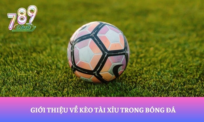 Giới thiệu về kèo tài xỉu trong bóng đá