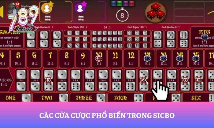 Các cửa cược phổ biến trong Sicbo