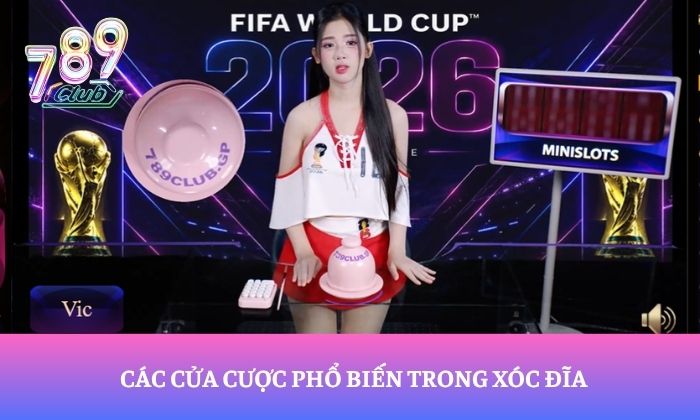 Các cửa cược phổ biến trong xóc đĩa